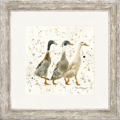 The Three Duckgrees Classic Gerahmter Druck - Distressed