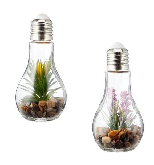 Buy wholesale Set of 2 succulent light bulbs glass each W x H 8 x 19 cm  decorative LED lamp artificial plant