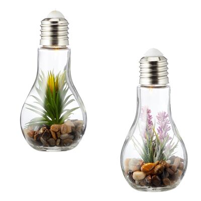 Lot de 2 ampoules succulentes en verre chacune L x H 8 x 19 cm lampe LED décorative plante artificielle