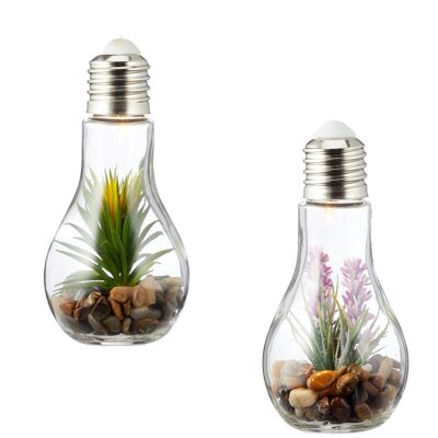 2er Set Sukkulenten Glühbirne Glas je B x H 8 x 19cm Deko LED Lampe Kunstpflanze