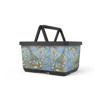 BASKY VAN GOGH Portaequipajes universal para bicicletas de enganche rápido, seguro