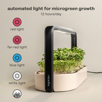 ingarden Microgreens kit de culture | Lumière de croissance LED automatique à 4 étapes et système d'irrigation hydroponique | Cadre en acier et coque en céramique [noir] 9