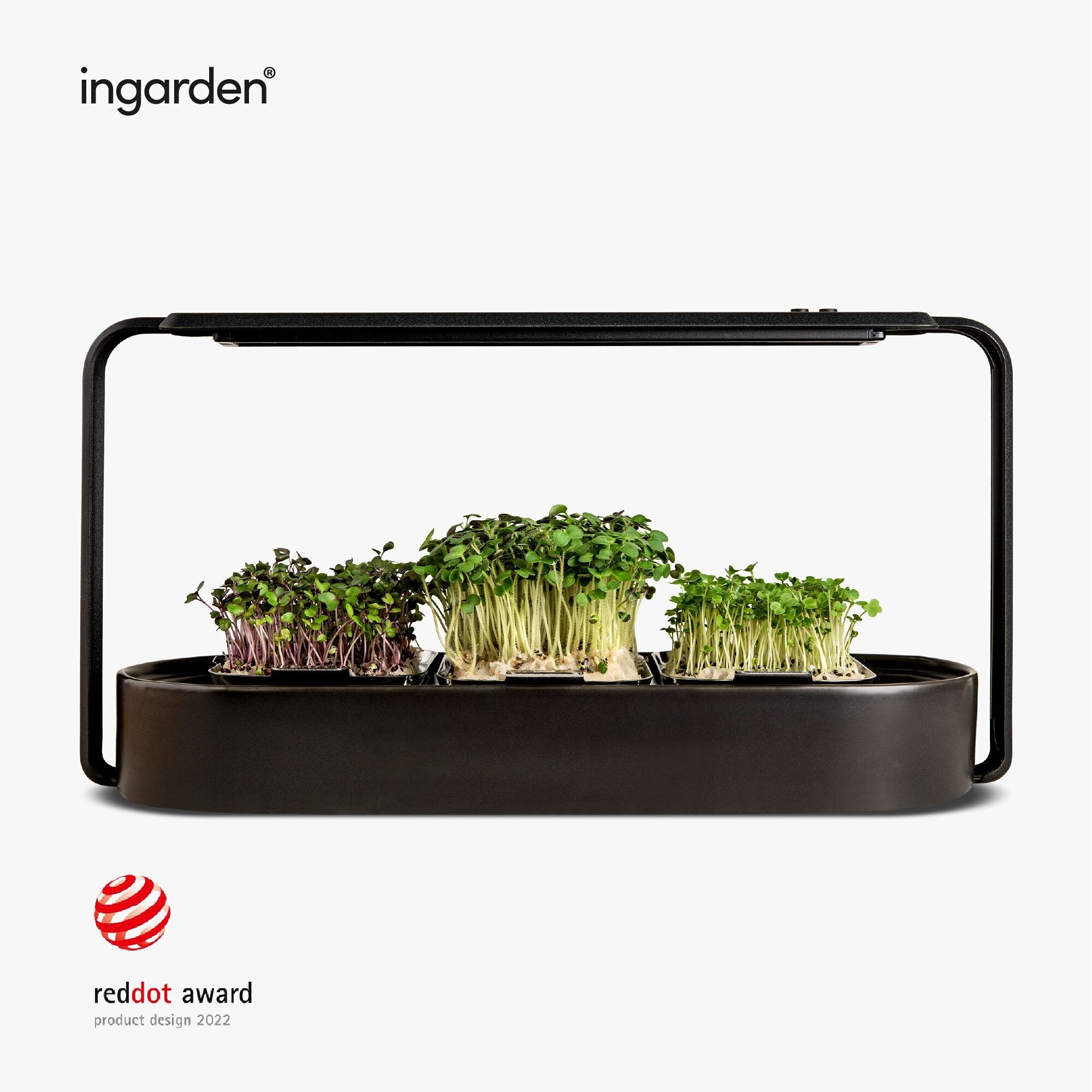 ingarden Microgreens kit de culture | Lumière de croissance LED automatique à 4 étapes et système d'irrigation hydroponique | Cadre en acier et coque en céramique [noir]