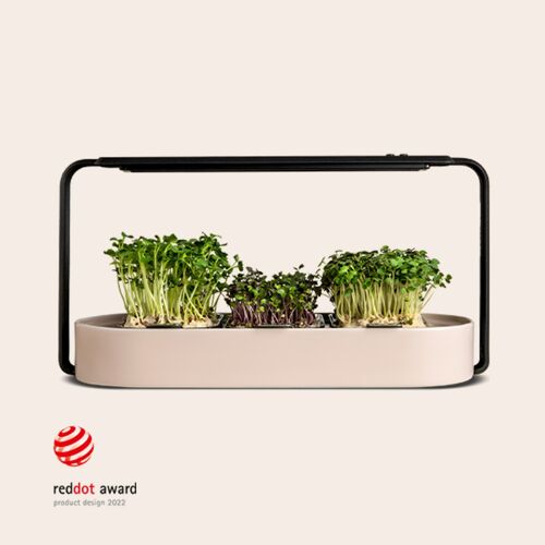 ingarden Microgreens Anzuchtset | Automatisches 4-Stufen LED Anbaulicht & Hydroponisches Bewässerungssystem | Stahlrahmen & Keramikschale [Beige]