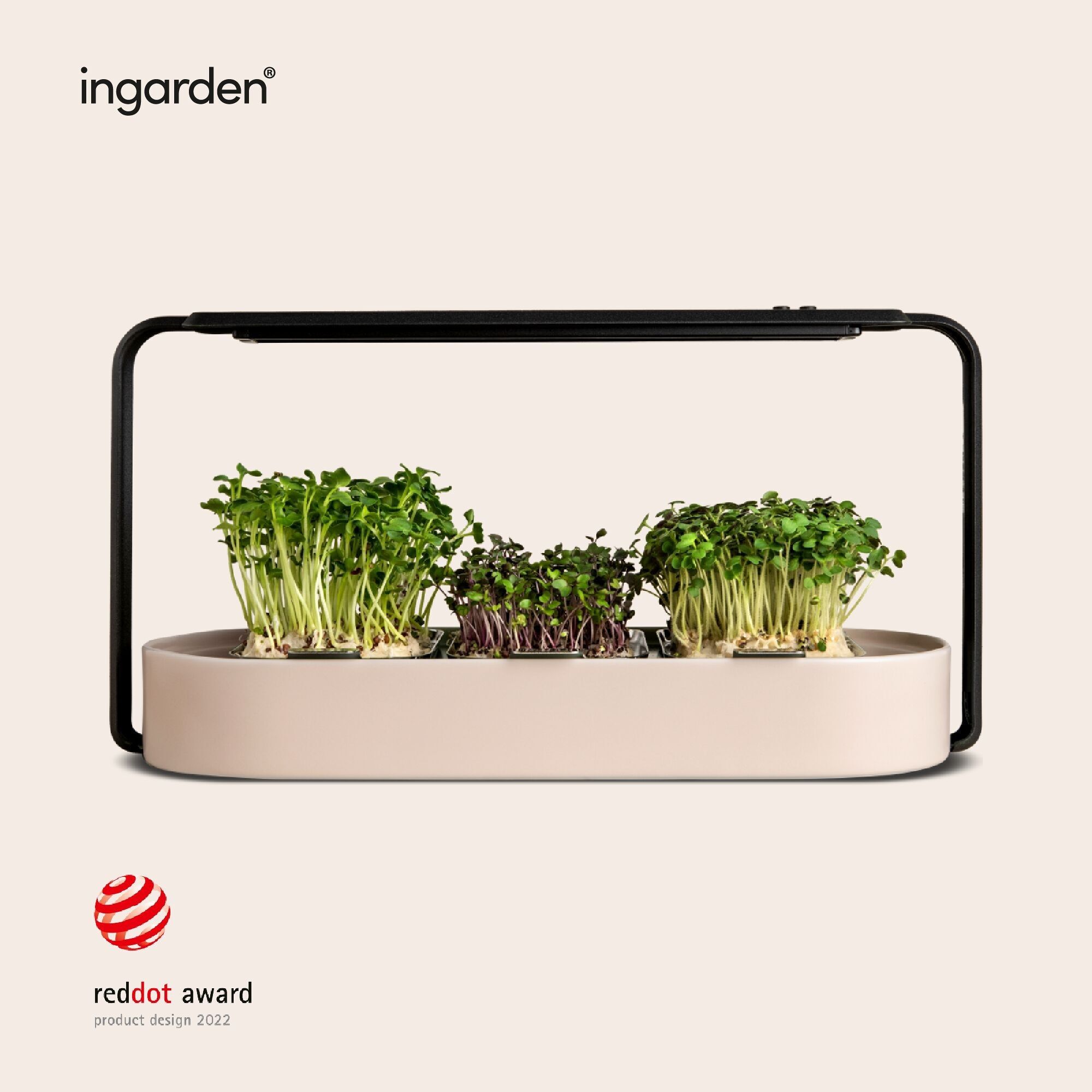 ingarden Microgreens kit de culture | Lumière de croissance LED automatique à 4 étapes et système d'irrigation hydroponique | Structure en acier et bol en céramique [Beige]