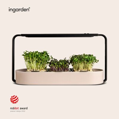 ingarden GmbH