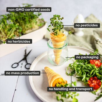 ingarden Microgreen Superfood Coussinets de graines | 100% biologique | Complètement développé en 1 semaine | Densité nutritionnelle 2 150 % plus élevée que celle des légumes | 1 mois d'approvisionnement | Mélange de superaliments 8