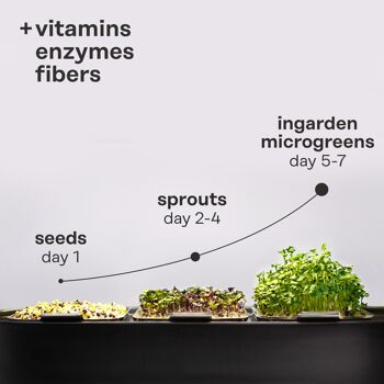 ingarden Microgreen Superfood Coussinets de graines | 100% biologique | Complètement développé en 1 semaine | Densité nutritionnelle 2 150 % plus élevée que celle des légumes | 1 mois d'approvisionnement | Roquette Bio 7
