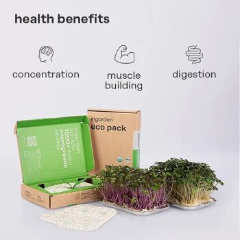 ingarden Microgreen Superfood Coussinets de graines | 100% biologique | Complètement développé en 1 semaine | Densité nutritionnelle 2 150 % plus élevée que celle des légumes | 1 mois d'approvisionnement | Brocoli biologique 4