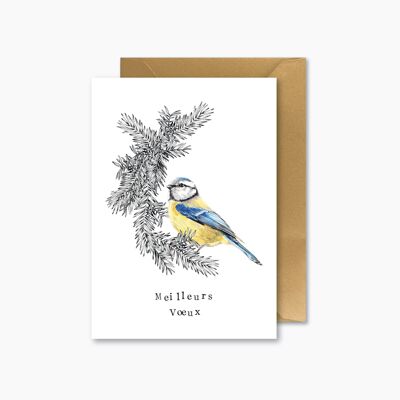 Blue tit & pines