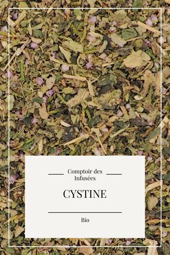 Tisane Cystine (confort urinaire) 60g BIO 2