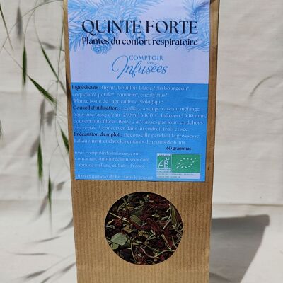 Té de Hierbas Quinte Fuerte Orgánico 60g