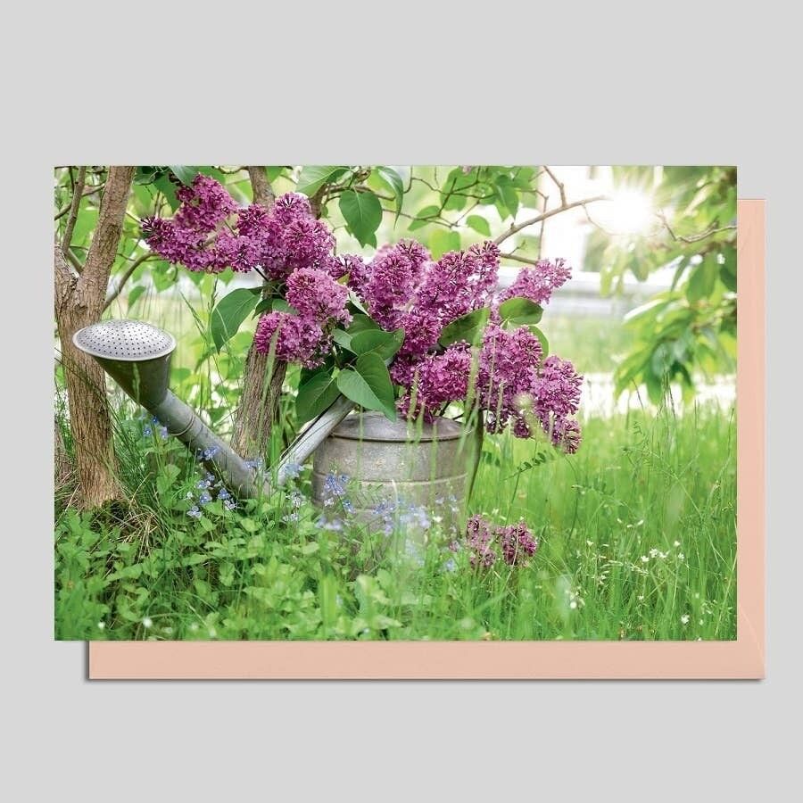 Fotokarte ohne Text - UK-91216