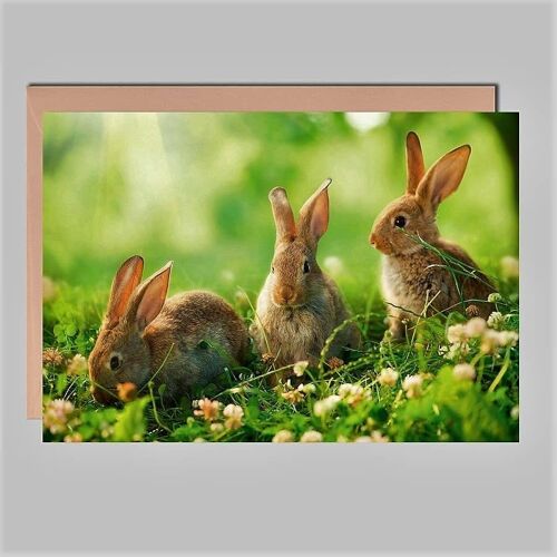 Fotokarte zu Ostern - UK-91230