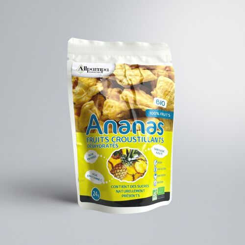 ANANAS DESHYDRATÉ CROUSTILLANT - SACHET 24 GR