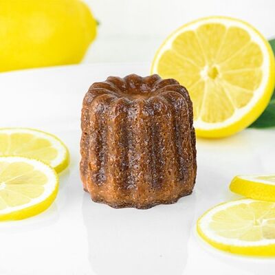 8 Canelés with lemon - LUNCH (30gr) - thawed product
