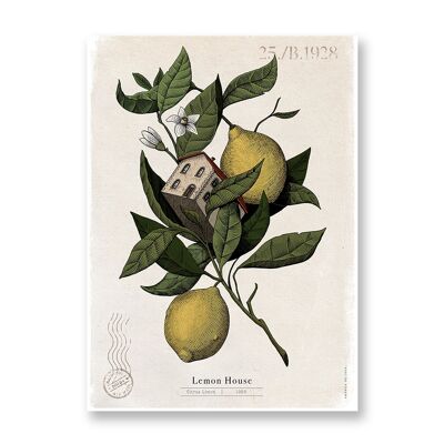 Maison de citron - affiche d'art | Carte de voeux