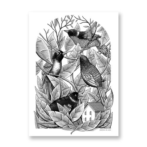 Birds - Art Poster | Greeting Card