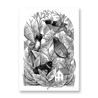 Uccelli - Poster artistico | Biglietto d'auguri