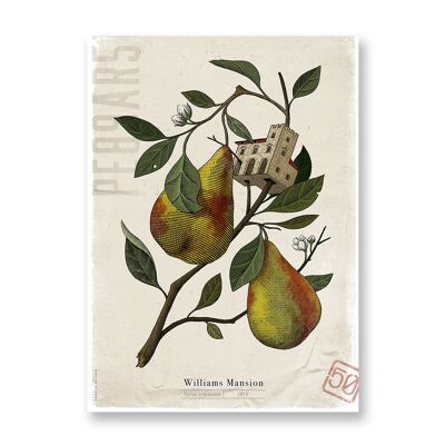 Williams Mansion - Poster Artistico | Biglietto d'auguri