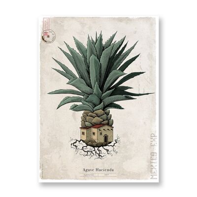 Agave Hacienda - Póster de arte | Tarjeta de felicitación