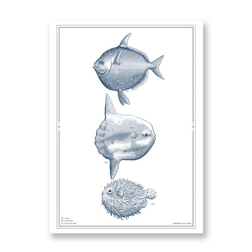 Three fishes - Art Poster | Greeting Card
