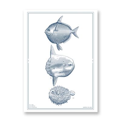 Tre pesci - Poster artistico | Biglietto d'auguri
