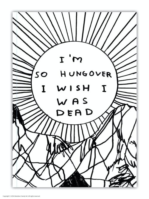 Notebook (A6) - Funny Gift - So Hungover