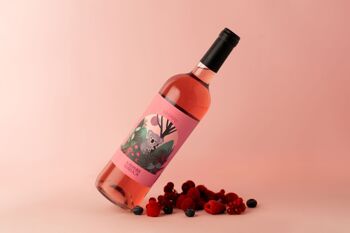Vin Végétalien - Rosé 2