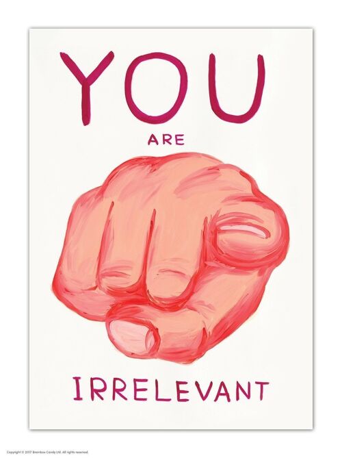 Postcard - Funny A6 Print - You Are Irrelevant