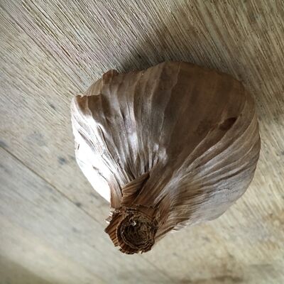 Organic black garlic bulk 500gr - Organic Black Garlic