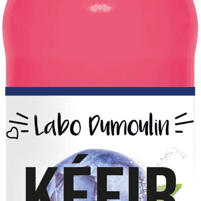 Kéfir de frutas Arándano Verbena ecológico 75cl