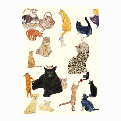 Carte Tous les chats