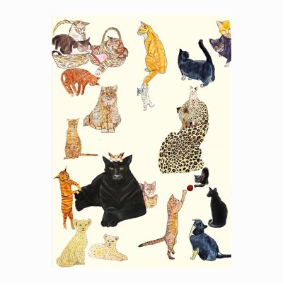All The Cats Card