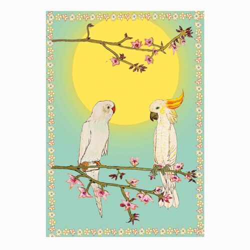 Cockatoo and Parakeet Card