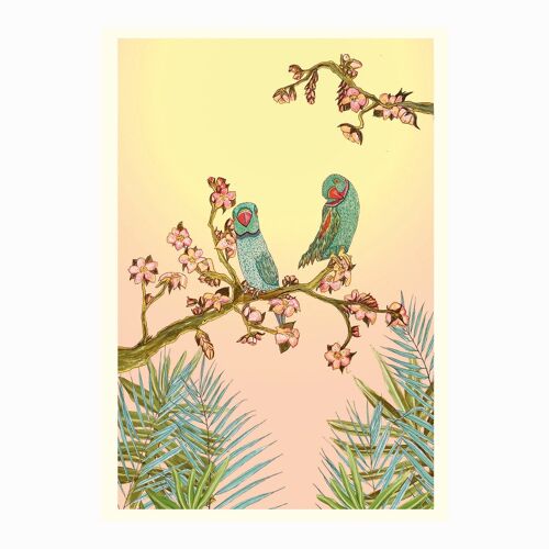 Ringneck Parakeets Card