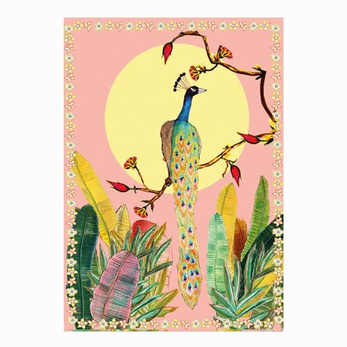 Pink Sky Peacocks Card