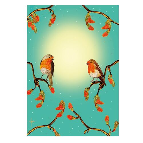 Christmas Robins In The Sun Card
