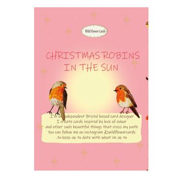 Carte Robins de Noël au soleil 2