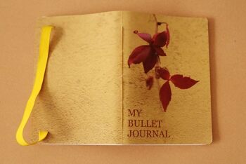 Bullet journal Rupi 3