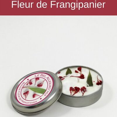 Bougie métal 65g - Parfum Fleur de Frangipanier