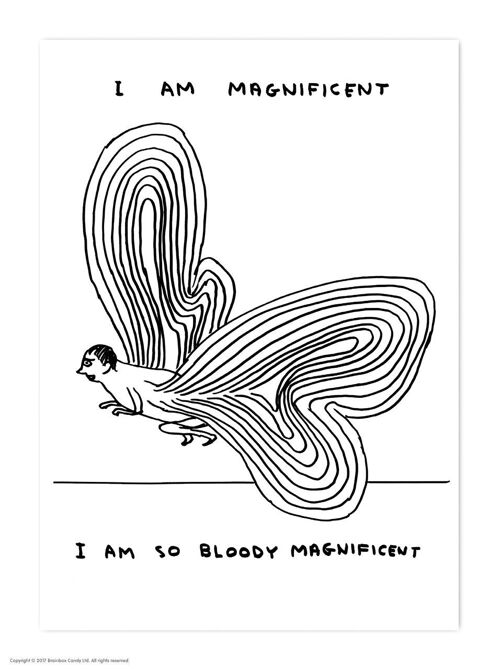 Postcard - Funny A6 Print - I Am Magnificent