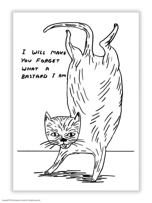 Postcard - Funny A6 Print - Bastard Cat