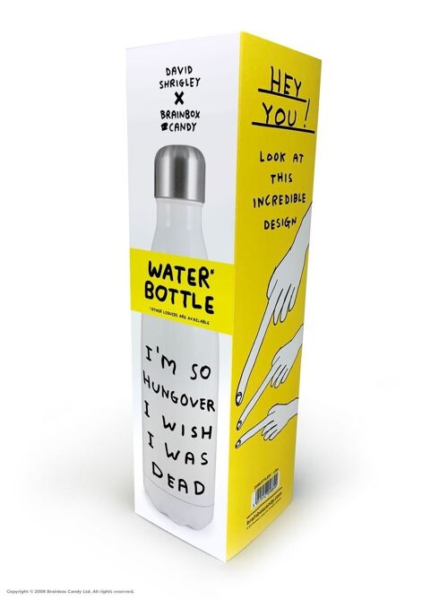 Thermal Water Bottle - Funny Gift - So Hungover