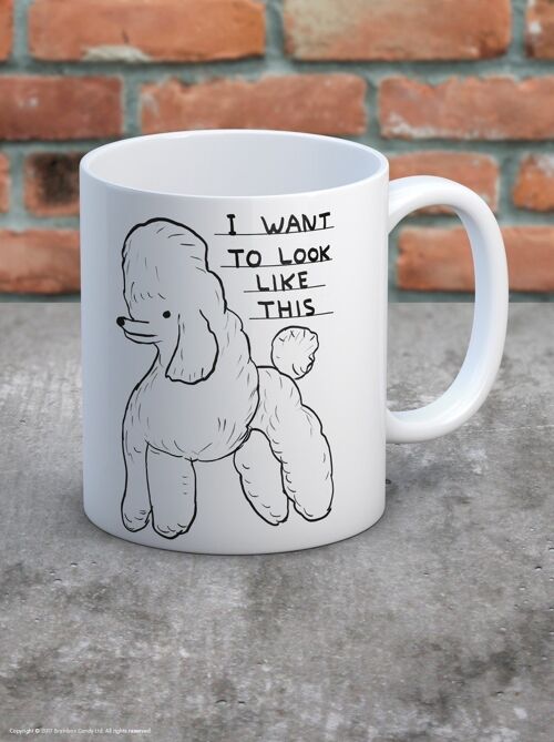 Mug (Gift Boxed) - Funny Gift - Want To Look Like This