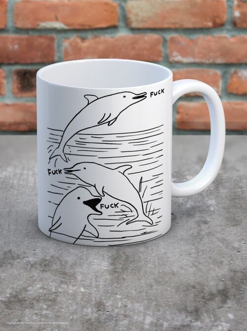 Mug (Gift Boxed) - Funny Gift - Dolphin Fuck