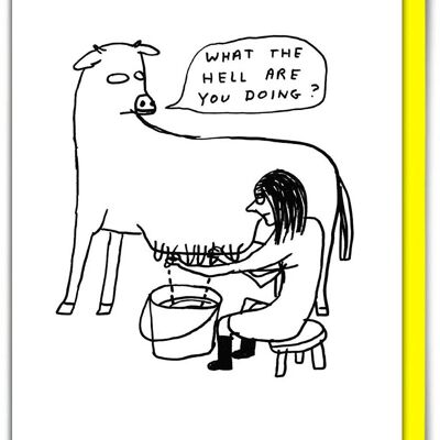 Birthday Card - Funny Everyday Card - What The Hell