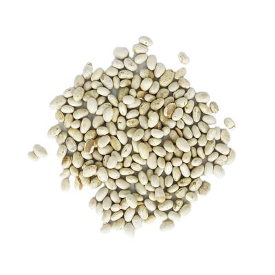 Organic White Beans 5kg