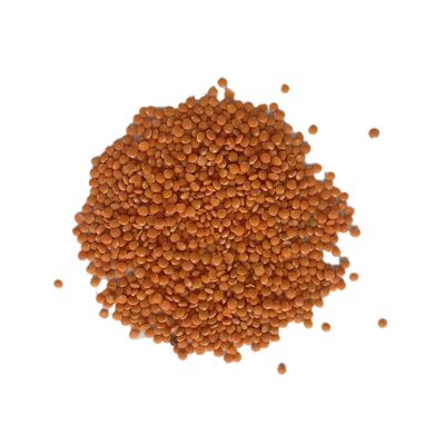 ORGANIC CORAL LENTILS 5kg