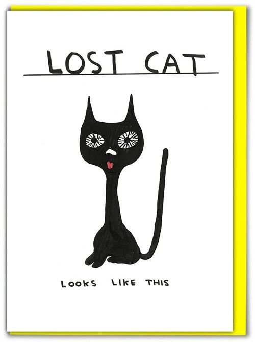 Birthday Card - Funny Everyday Card - Lost Cat